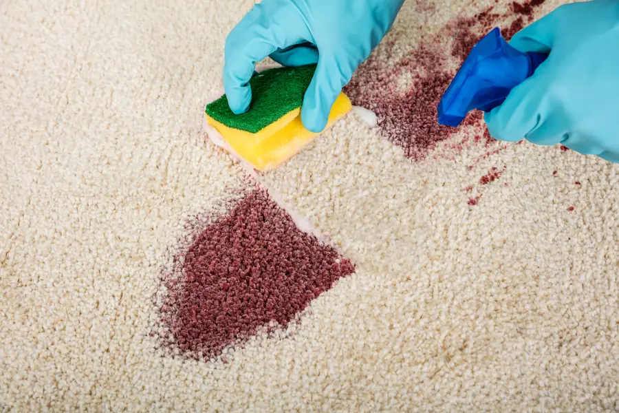 When To Call Experts For Deep Stain Removal Services in Cheyenne, WY
