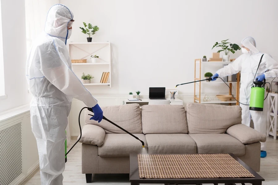 Why Sanitizing Matters For Food Preparation Areas in Cheyenne, WY